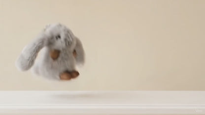 Mini Rabbit Plush Keychain and a Bag Charm with necklace